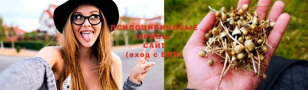 мет Баксан