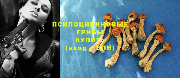 а пвп мука Балахна