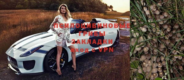 СК Белокуриха
