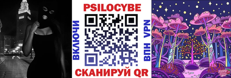 Галлюциногенные грибы Psilocybine cubensis  Озёры 