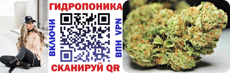 закладки  Озёры  Бошки Шишки планчик 